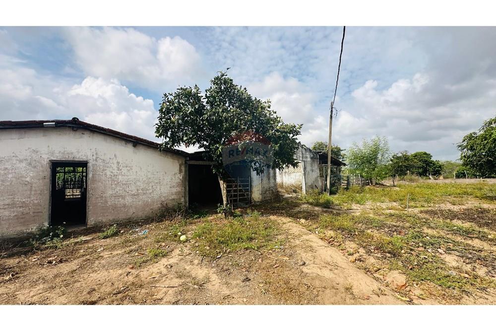 Chácara / Sítio / Fazenda - Venda - São José de Mipibu , Rio Grande do Norte - IMG-20250206-WA0027.jpg - Despensa - 720811013-67