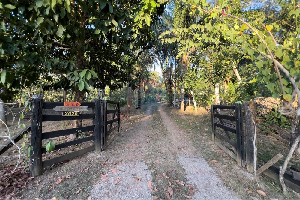 Chácara / Sítio / Fazenda - Venda - Porto Velho , Rondônia - IMG_9105.jpg - 721551016-73