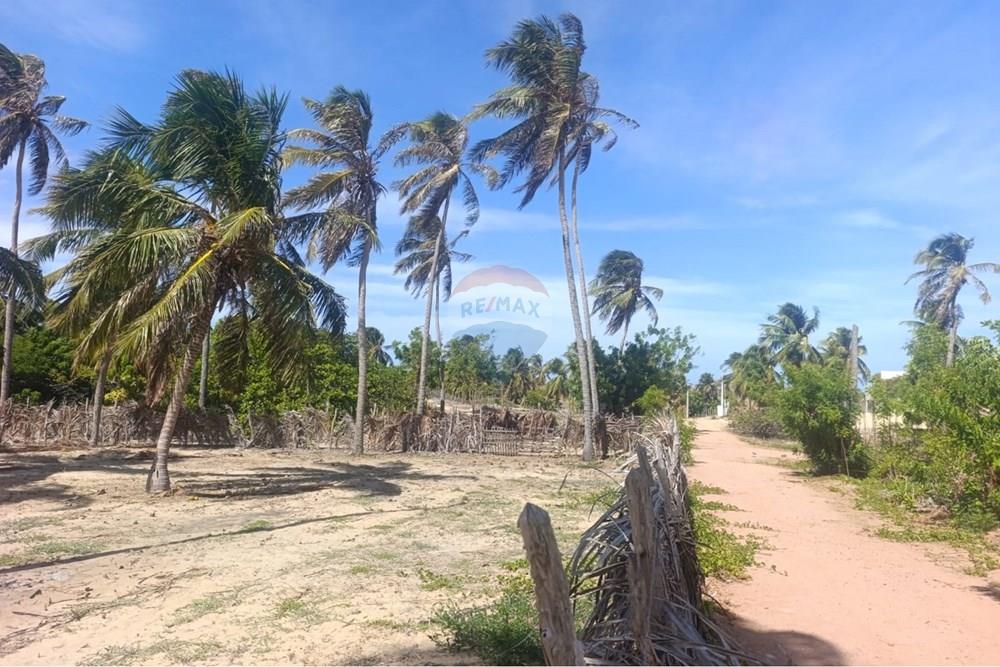Terreno - Venda - Trairi , Ceará - WhatsApp Image 2026-01-28 at 14.05.47.jpeg - 722341005-47