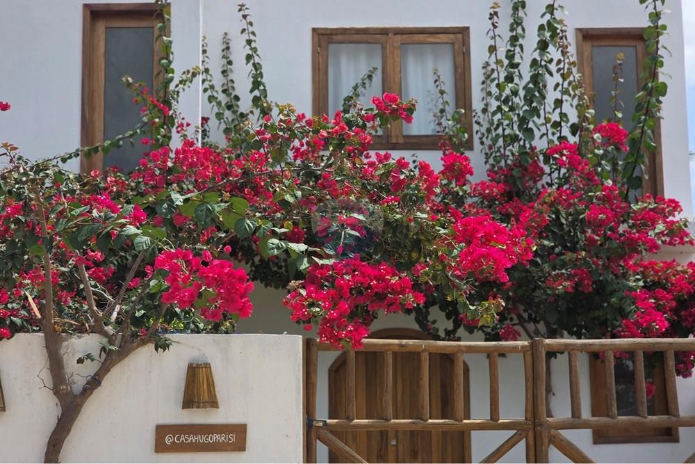 Casa - Venda - Cruz , Ceará - 1000429767.jpg - 722341001-159