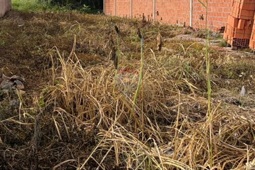 Terreno - Venda - Rondonópolis , Mato Grosso - WhatsApp Image 2026-03-27 at 09.12.43.jpeg - 722201043-43