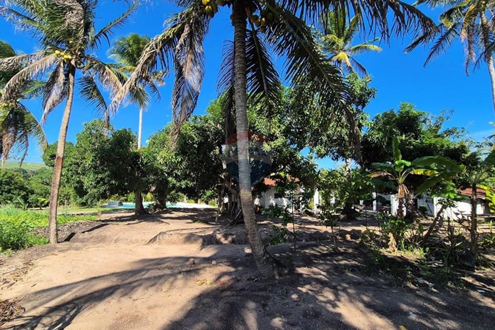 Chácara / Sítio / Fazenda - Venda - Mamanguape , Paraíba - 20250207_144916 1.jpg - 722011055-45