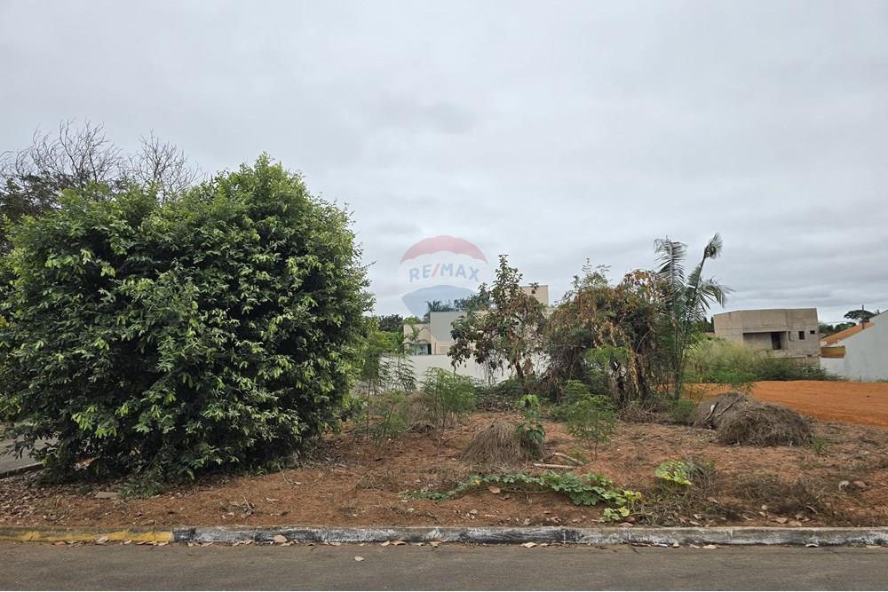 Terreno - Venda - Rondonópolis , Mato Grosso - WhatsApp Image 2025-07-03 at 15.42.33 (4).jpeg - 720851064-29