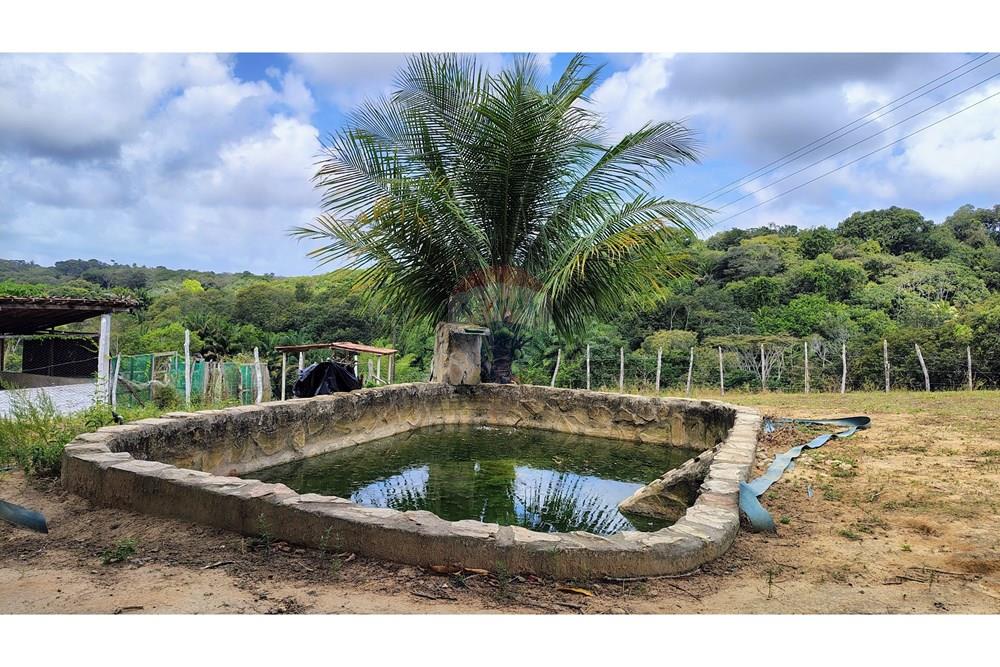 Chácara / Sítio / Fazenda - Venda - Conde , Paraíba - IMG_20251012_122959051_HDR_AE.jpg - 720871055-28