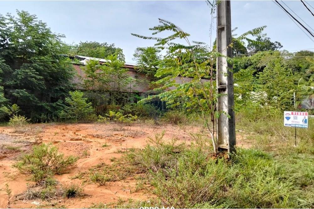 Terreno - Venda - Manaus , Amazonas - WhatsApp Image 2025-09-08 at 15.31.41.jpeg - 722101006-27