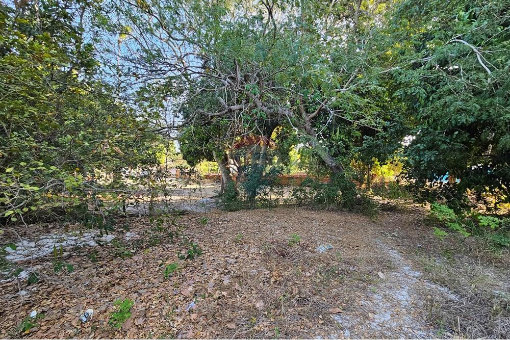 Terreno - Venda - Jijoca de Jericoacoara , Ceará - 20240905_163629.jpg - 722341001-43