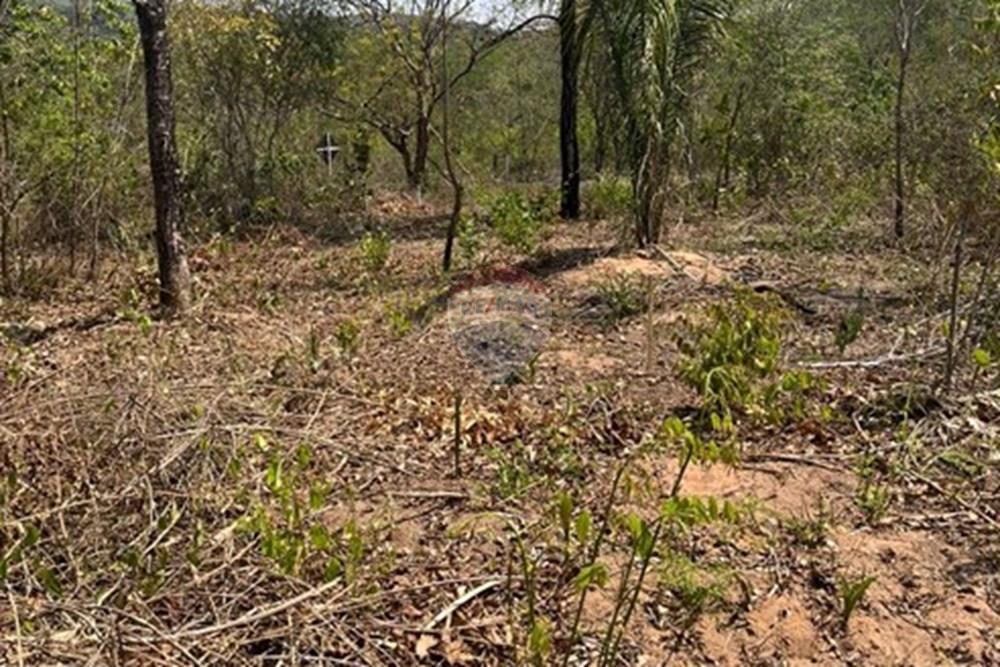 Chácara / Sítio / Fazenda - Venda - Rondonópolis , Mato Grosso - WhatsApp Image 2025-10-08 at 16.18.10.jpeg - 720611061-10