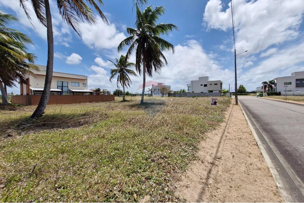 Terreno - Venda - Nísia Floresta , Rio Grande do Norte - 20240926_112533.jpg - 720811001-60