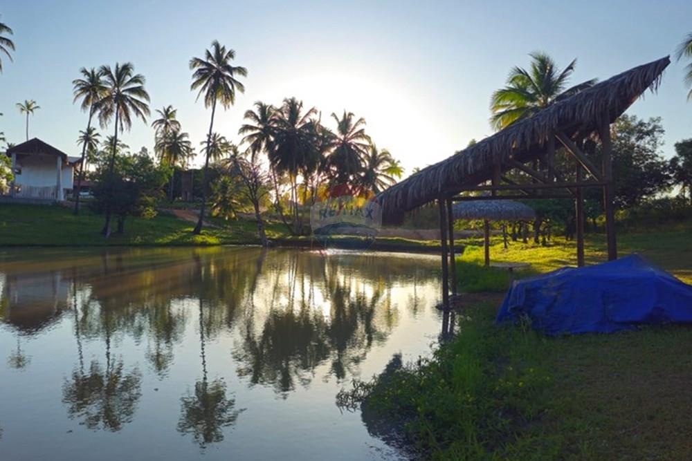 Terreno - Venda - Trairi , Ceará - 1000290821.jpg - 722341005-30