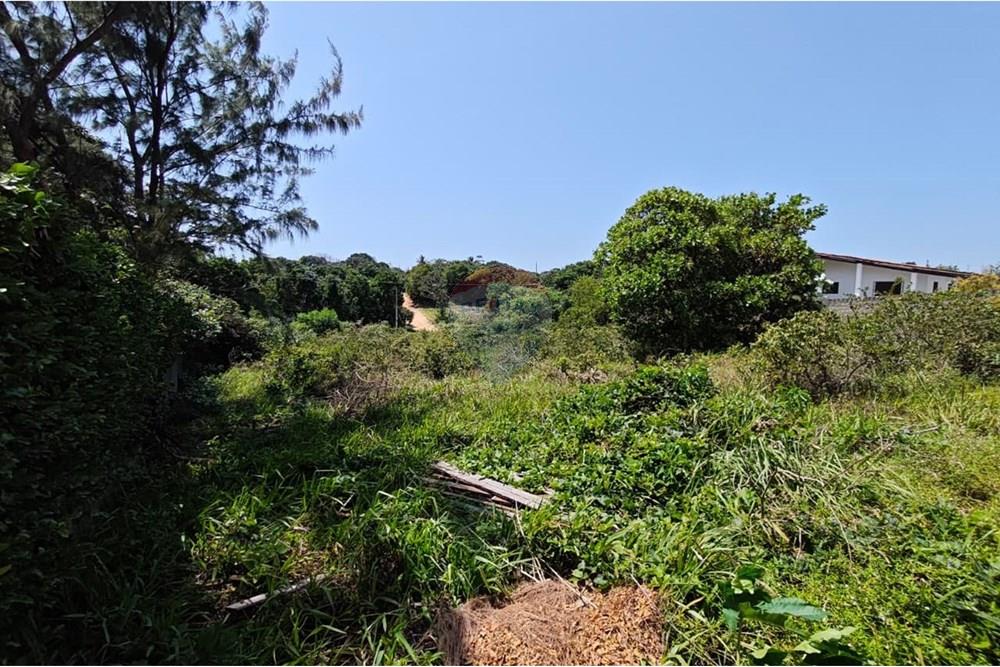 Residential - ਧਰਤੀ - Conde , Paraíba - BR - WhatsApp Image 2025-09-19 at 09.55.04 (1).jpeg - 720871009-201