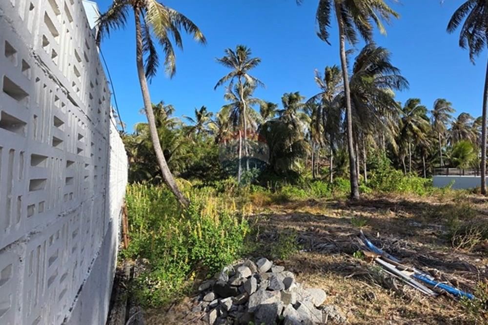 Terreno - Venda - Trairi , Ceará - 1000189521.jpg - 722341001-103