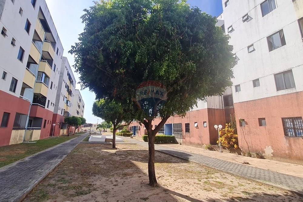 Apartamento - Venda - Fortaleza , Ceará - 20251126_143922.jpg - 722031023-49