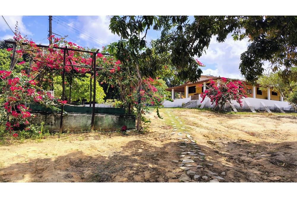 Chácara / Sítio / Fazenda - Venda - Conde , Paraíba - Imagem do WhatsApp de 2025-10-13 à(s) 14.23.11_7ff041a4.jpg - 720871055-28