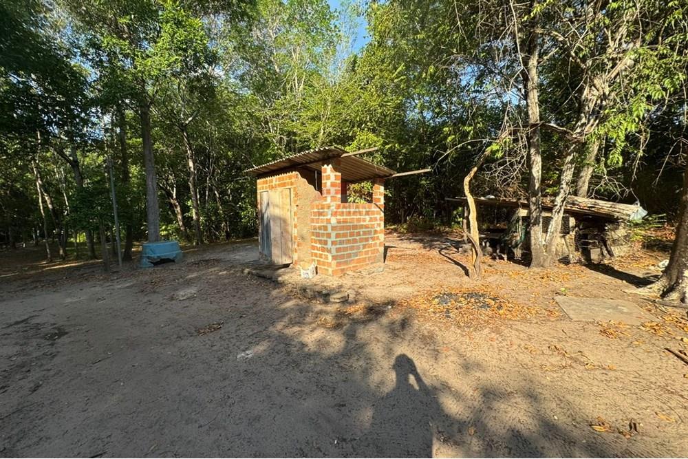 Chácara / Sítio / Fazenda - Venda - Babaçulândia , Tocantins - WhatsApp Image 2025-09-23 at 14.17.38.jpeg - 720991008-82