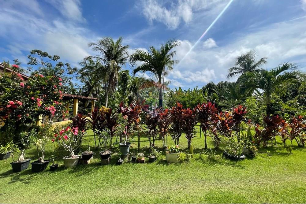 Chalé - Venda - Ceará-Mirim , Rio Grande do Norte - zzza.jpeg - 720621057-30