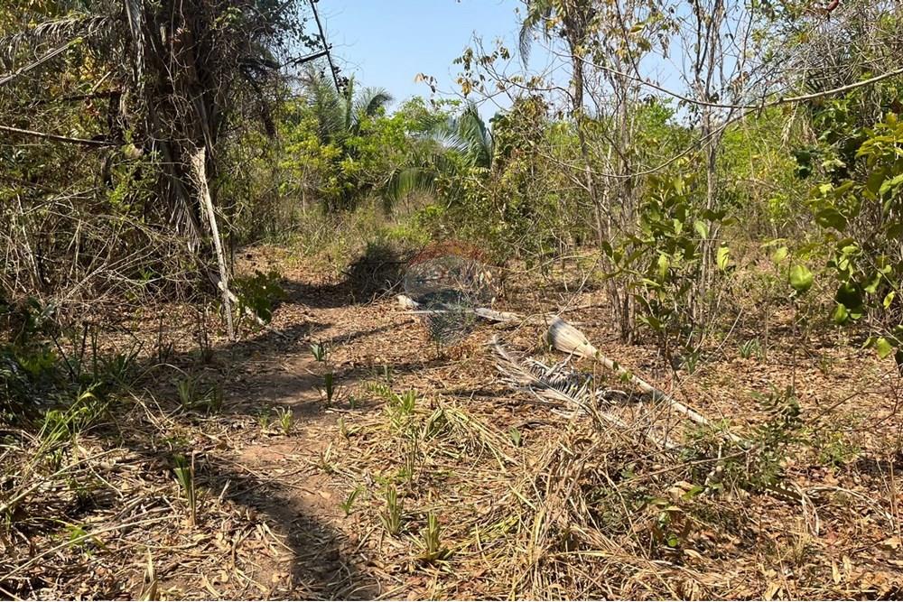 Chácara / Sítio / Fazenda - Venda - Rondonópolis , Mato Grosso - WhatsApp Image 2025-10-08 at 16.18.14 (2).jpeg - 720611061-9