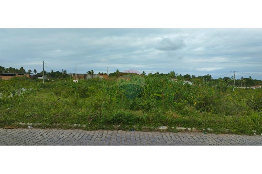 Terreno - Venda - São Gonçalo do Amarante , Rio Grande do Norte - WhatsApp Image 2025-07-18 at 17.38.35.jpeg - 720891003-96