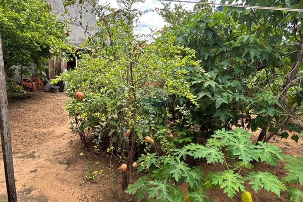 Casa - Venda - Barra do Garças , Mato Grosso - IMG_6228.JPG.jpeg - 722221009-71