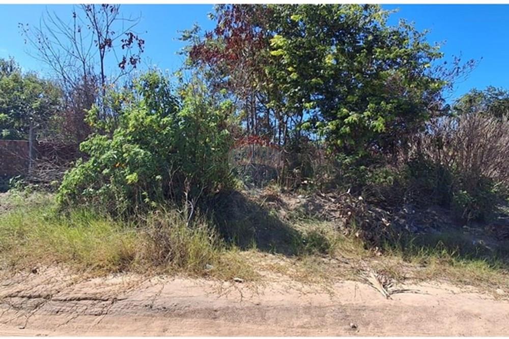 Terreno - Venda - Conde , Paraíba - 777ae0bc-fdb3-445e-8b50-7520d3de2261.jpeg - 720871044-68