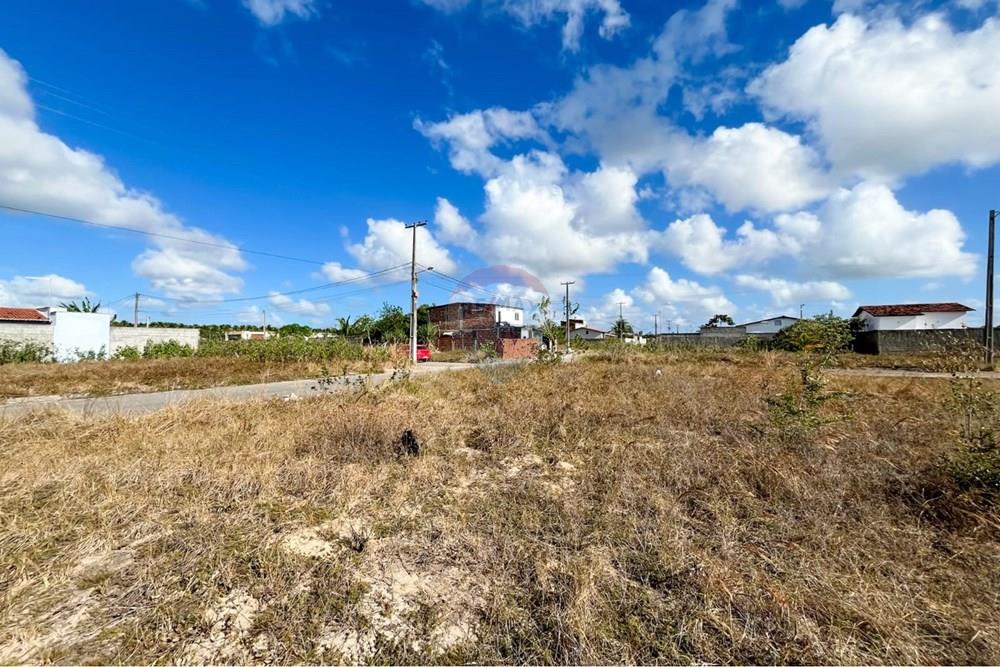 Terreno - Venda - São José de Mipibu , Rio Grande do Norte - 09b61127-4c42-4292-a0de-db8849da2061.jpg - 720811011-106