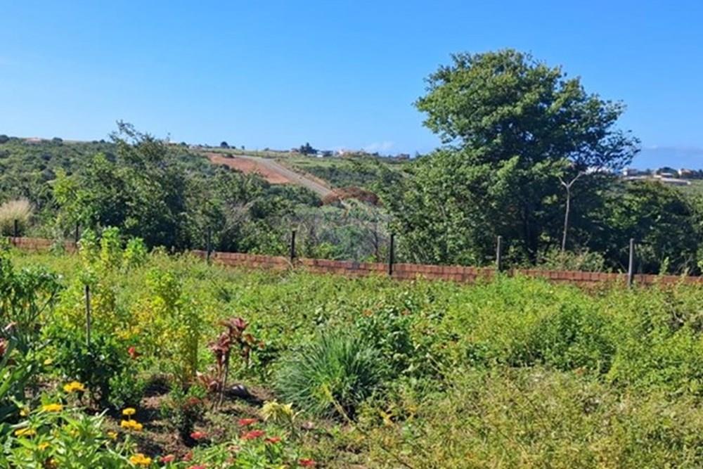 Terreno - Venda - Pitimbu , Paraíba - d71a6eab-4a1d-4c48-b687-a6f83b08da77 - Copia.jpeg - 720871044-85