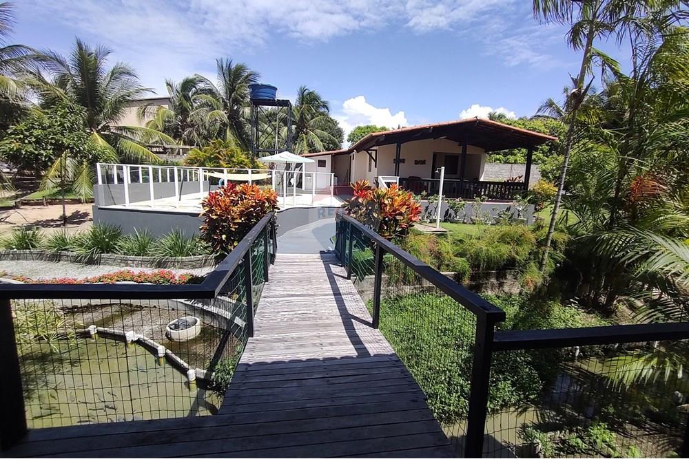 Chácara / Sítio / Fazenda - Venda - Nísia Floresta , Rio Grande do Norte - WhatsApp Image 2025-06-05 at 15.28.56(4).jpeg - 720731020-103