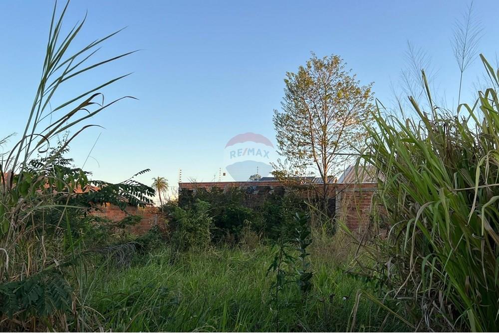 Terreno - Venda - Araguaína , Tocantins - WhatsApp Image 2025-07-01 at 13.03.51.jpeg - 720991038-12