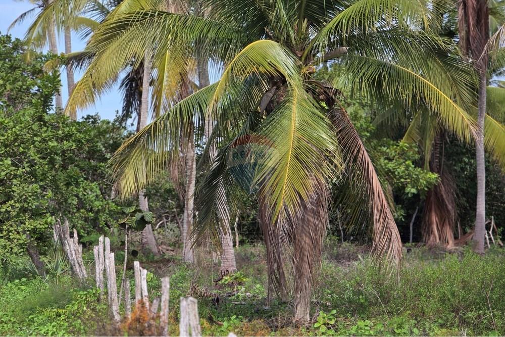 Terreno - Venda - Acaraú , Ceará - 1000542805.jpg - 722341001-188