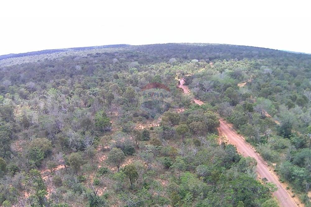 Fazenda - Venda - Babaçulândia , Tocantins - WhatsApp Image 2025-04-09 at 11.01.24 (1).jpeg - 722171039-21