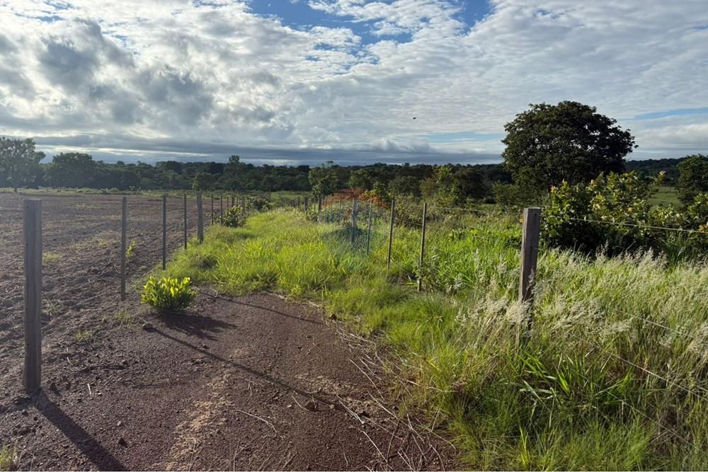 Casa - Venda - Rondonópolis , Mato Grosso - WhatsApp Image 2026-01-27 at 08.45.11 (2).jpeg - 720851057-59