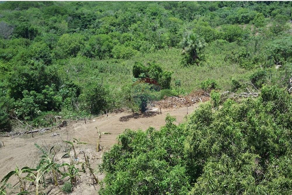 Chácara / Sítio / Fazenda - Venda - Dom Aquino , Mato Grosso - IMG_7831.JPG - 720611016-36