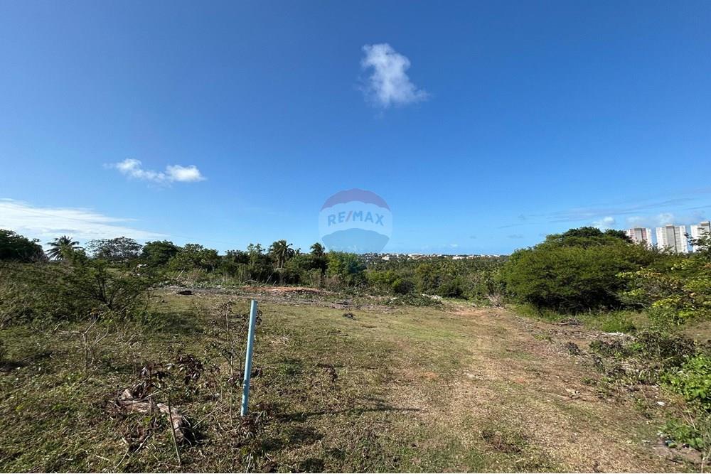 Terreno - Venda - Parnamirim , Rio Grande do Norte - WhatsApp Image 2025-11-11 at 17.33.58 (1).jpeg - 720731004-464