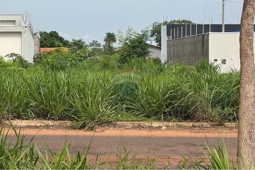 Terreno - Venda - Araguaína , Tocantins - WhatsApp Image 2025-12-17 at 14.05.53.jpeg - 722171042-3