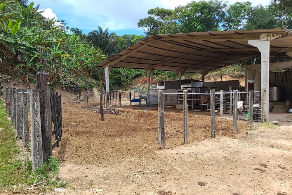 Chácara / Sítio / Fazenda - Venda - Areia , Paraíba - DJI_20230206_112123_605.jpg - 722011055-52