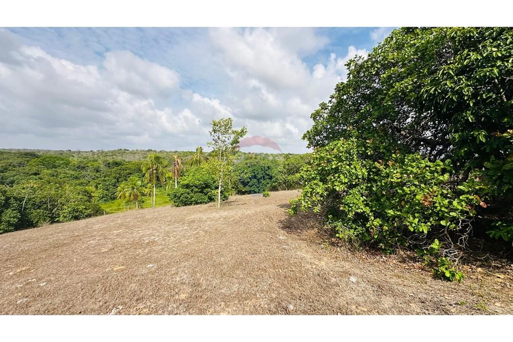 Chácara / Sítio / Fazenda - Venda - São José de Mipibu , Rio Grande do Norte - IMG-20250206-WA0011.jpg - 720811013-67