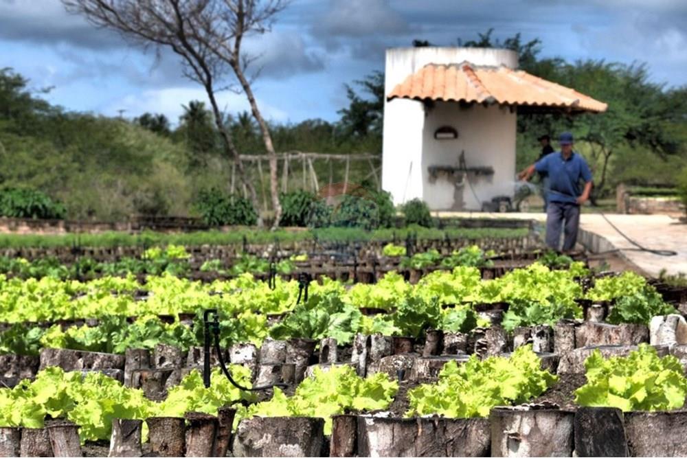 Terreno - Venda - Macaíba , Rio Grande do Norte - Natal_4-10-14-h-1024x768.jpg - 720621066-70