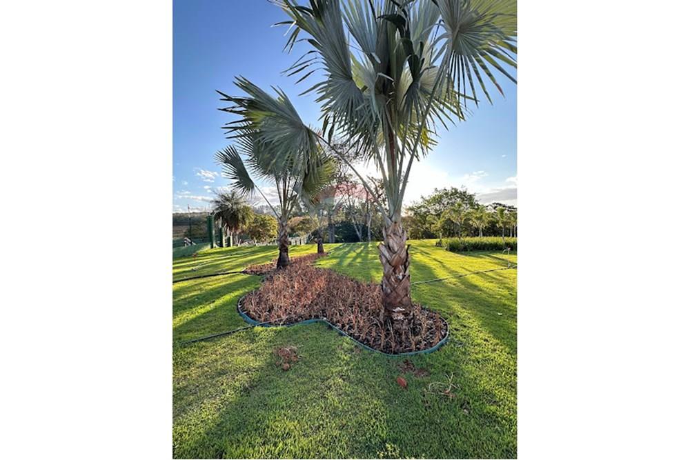 Terreno - Venda - Caldas Novas , Goiás - IMG_7381.jpg - 722251002-39