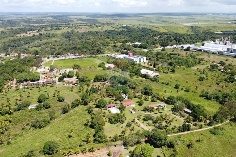 Terreno - Venda - Goiana , Pernambuco - dji_export_1659024142257.jpg - 722011055-50