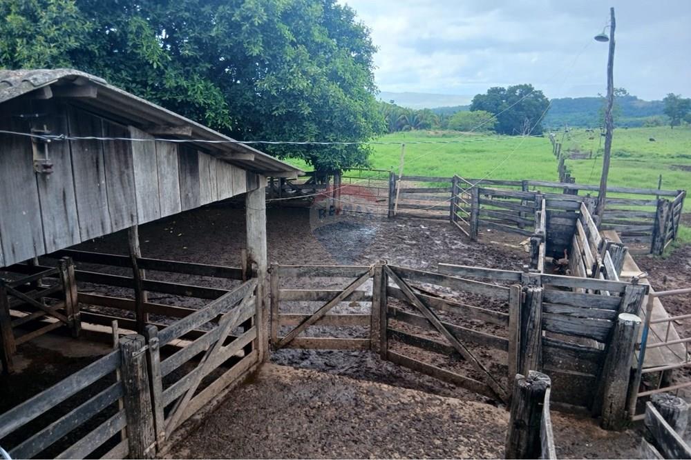 Chácara / Sítio / Fazenda - Venda - Juscimeira , Mato Grosso - WhatsApp Image 2026-01-25 at 07.55.39.jpeg - 722201031-2