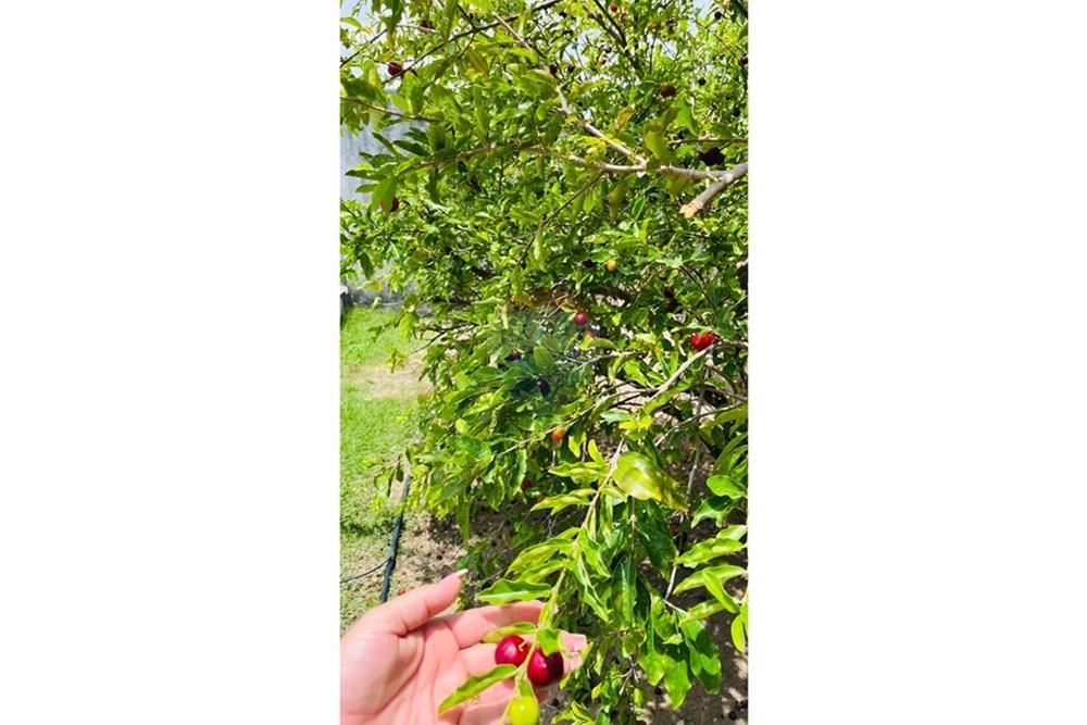 Casa - Venda - Conde , Paraíba - WhatsApp Image 2026-01-31 at 14.25.06 (1).jpeg - 720871004-227