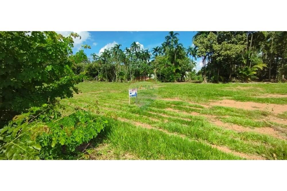 Terreno - Venda - Sinop , Mato Grosso - 78ca9d06-9277-4fbd-a1fd-eabbb66093f5.jpg - 721561033-5