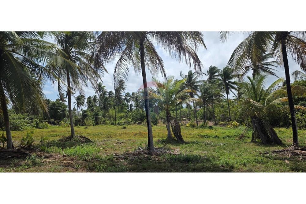 Terreno - Venda - Acaraú , Ceará - 1000304691.jpg - 722341001-114