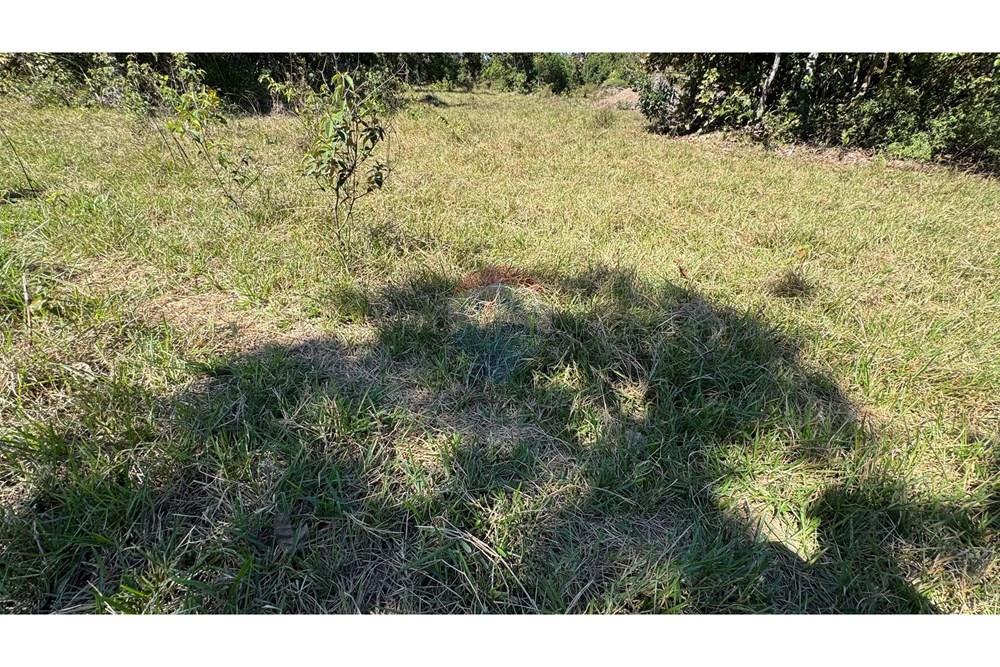 Fazenda - Venda - Santo Antônio do Leverger , Mato Grosso - 18ea3a54-999b-4cb8-a3b4-4bafc71375d2.jpeg - 720611035-41