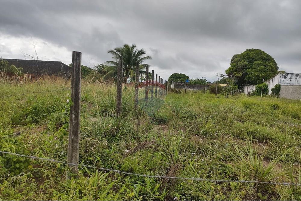 Terreno - Venda - Conde , Paraíba - 6bbf7586-1a7d-46cc-9875-0b5c63869f42.jpeg - 720871031-78