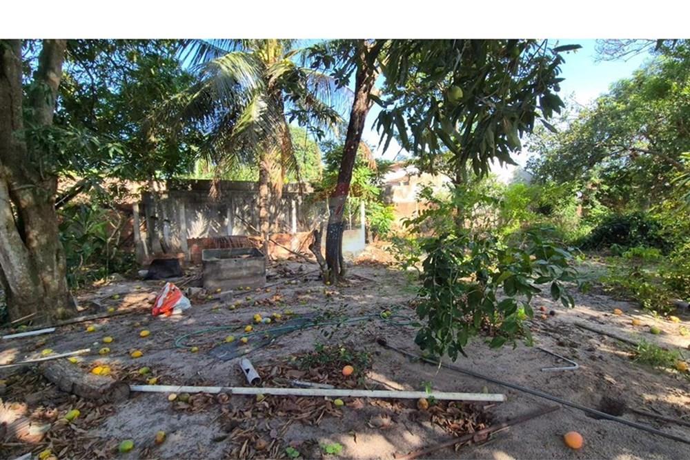 Terreno - Venda - Parnamirim , Rio Grande do Norte - WhatsApp Image 2026-03-02 at 10.05.09 (2).jpeg - 720811040-40