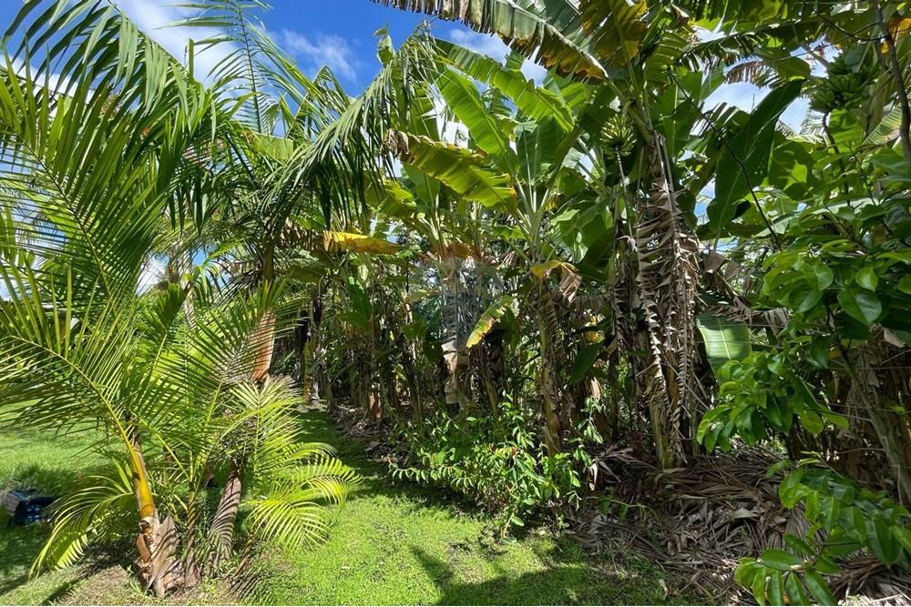 Chalé - Venda - Ceará-Mirim , Rio Grande do Norte - zdf.jpeg - 720621057-30
