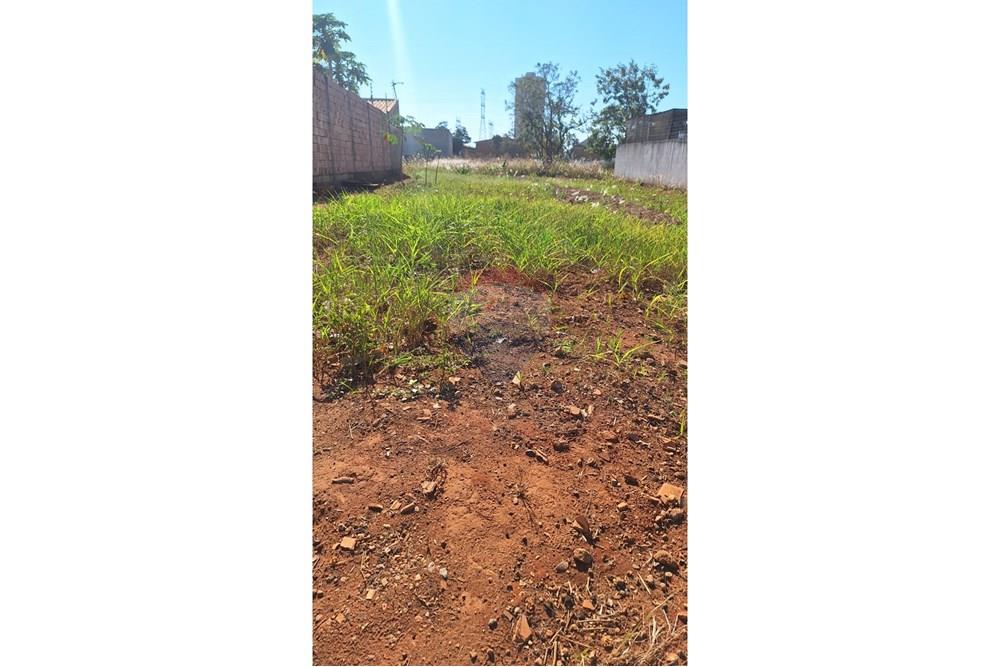 Terreno - Venda - Rondonópolis , Mato Grosso - dea04d2d-6580-4cf1-8a9f-b61a892bc08a.jpeg - 721981063-7