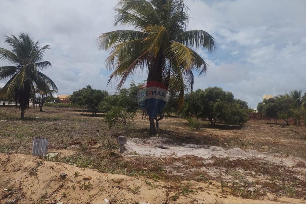 Terreno - Venda - Conde , Paraíba - WhatsApp Image 2026-01-26 at 16.41.18 (1).jpeg - 720871031-93