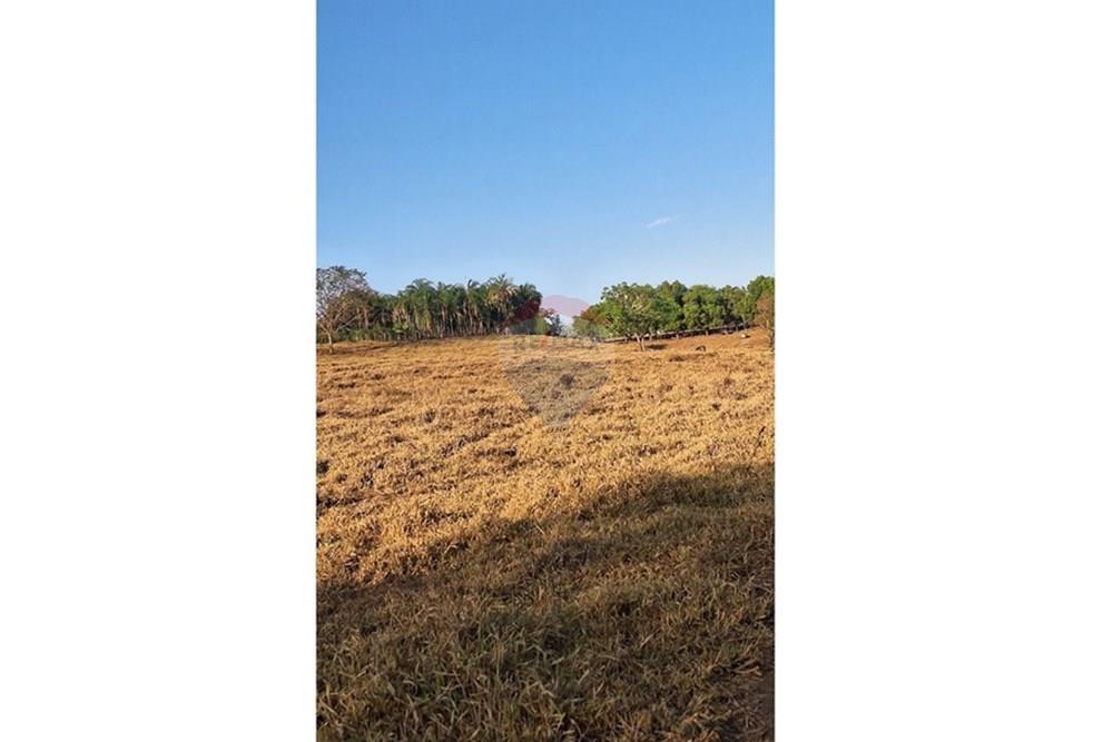 Casa - Venda - Rondonópolis , Mato Grosso - IMG-20250916-WA0126.jpg - 721981068-10