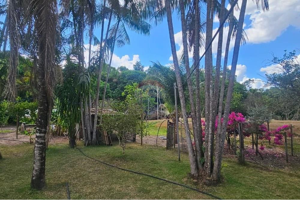 Chácara / Sítio / Fazenda - Venda - Araguaína , Tocantins - WhatsApp Image 2025-08-07 at 15.19.05 (3).jpeg - 722171030-16